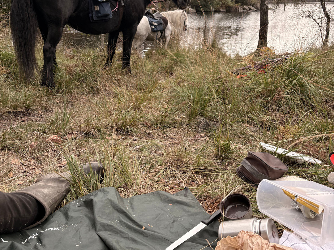 Fell Pony Adventures-温德米尔必去景点