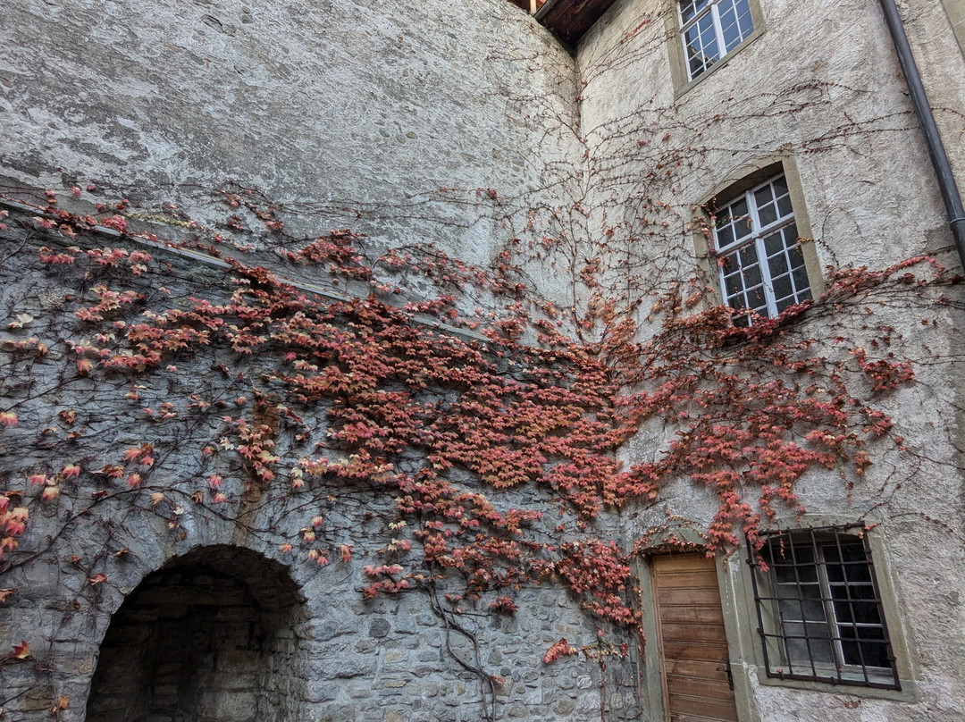 Château de Bulle-比勒必去景点