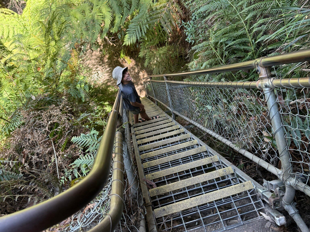 The Giant Stairway-卡通巴必去景点
