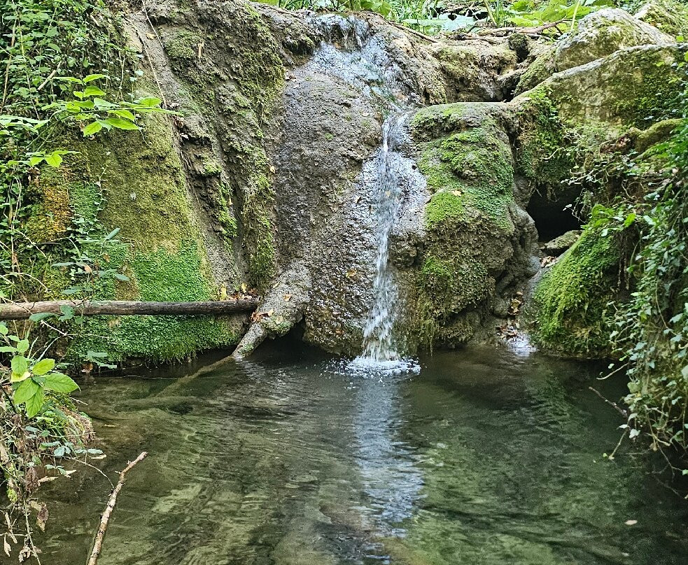 Cascata delle Vallocchie-Castel di Tora必去景点