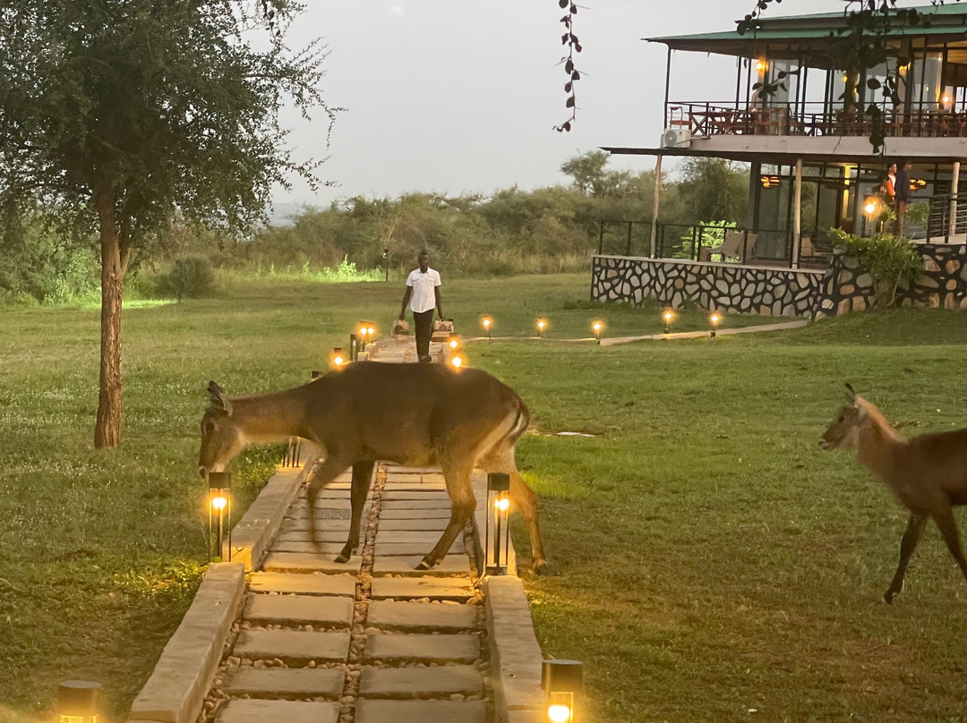 Arken Safaris Africa-马辛迪必去景点