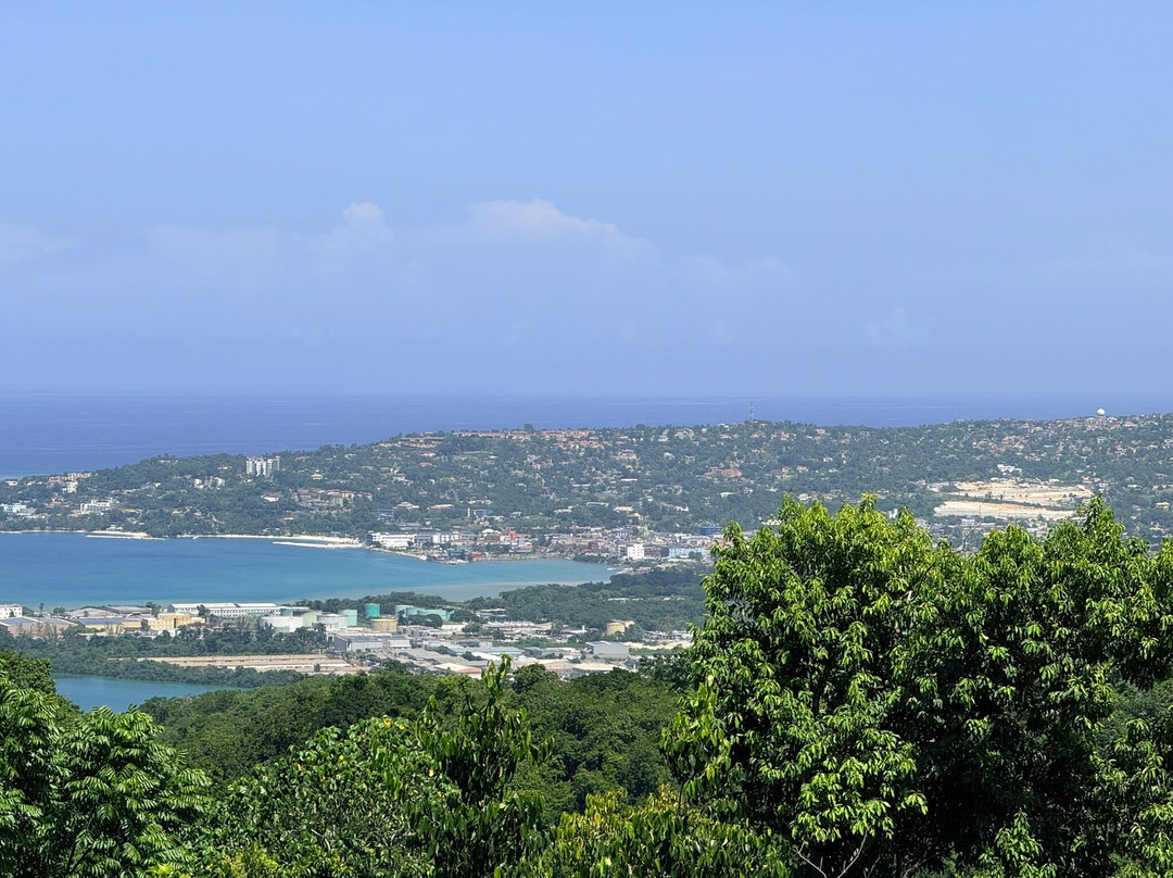 罗克兰兹鸟类保护区-Wiltshire必去景点