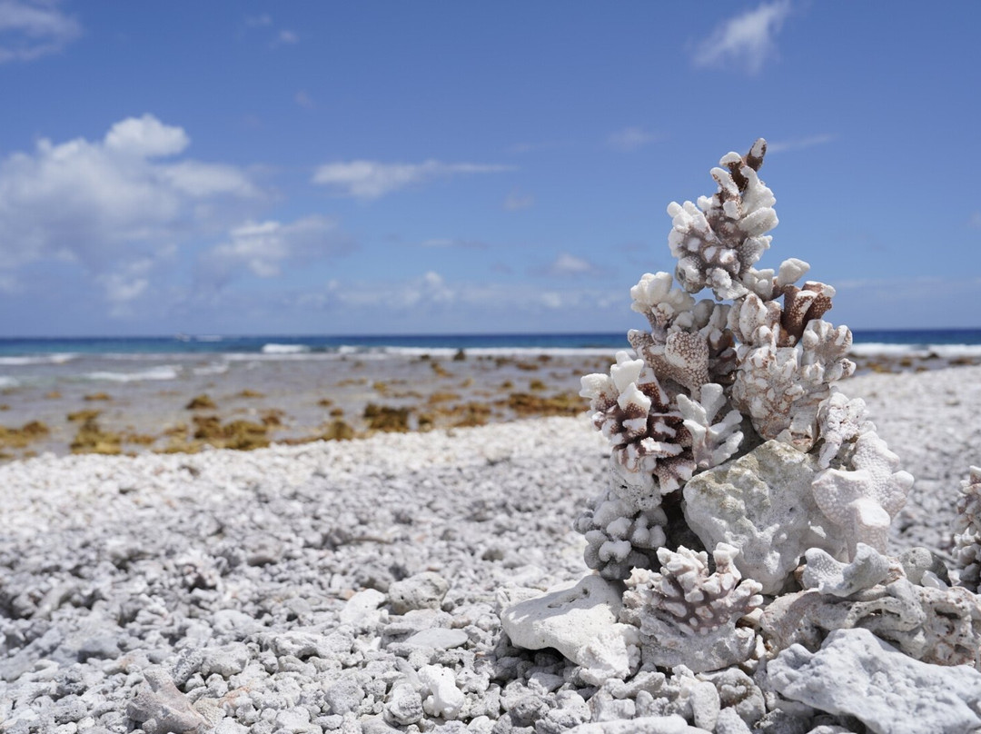 Kaipolanie Garden主图