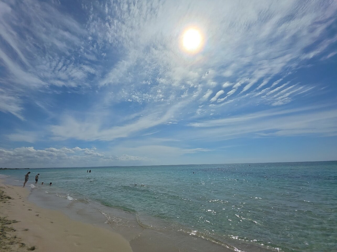 Samanà Beach-Punta Prosciutto必去景点