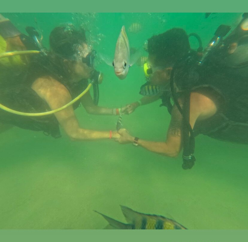 Igortur-嘎林海斯港必去景点