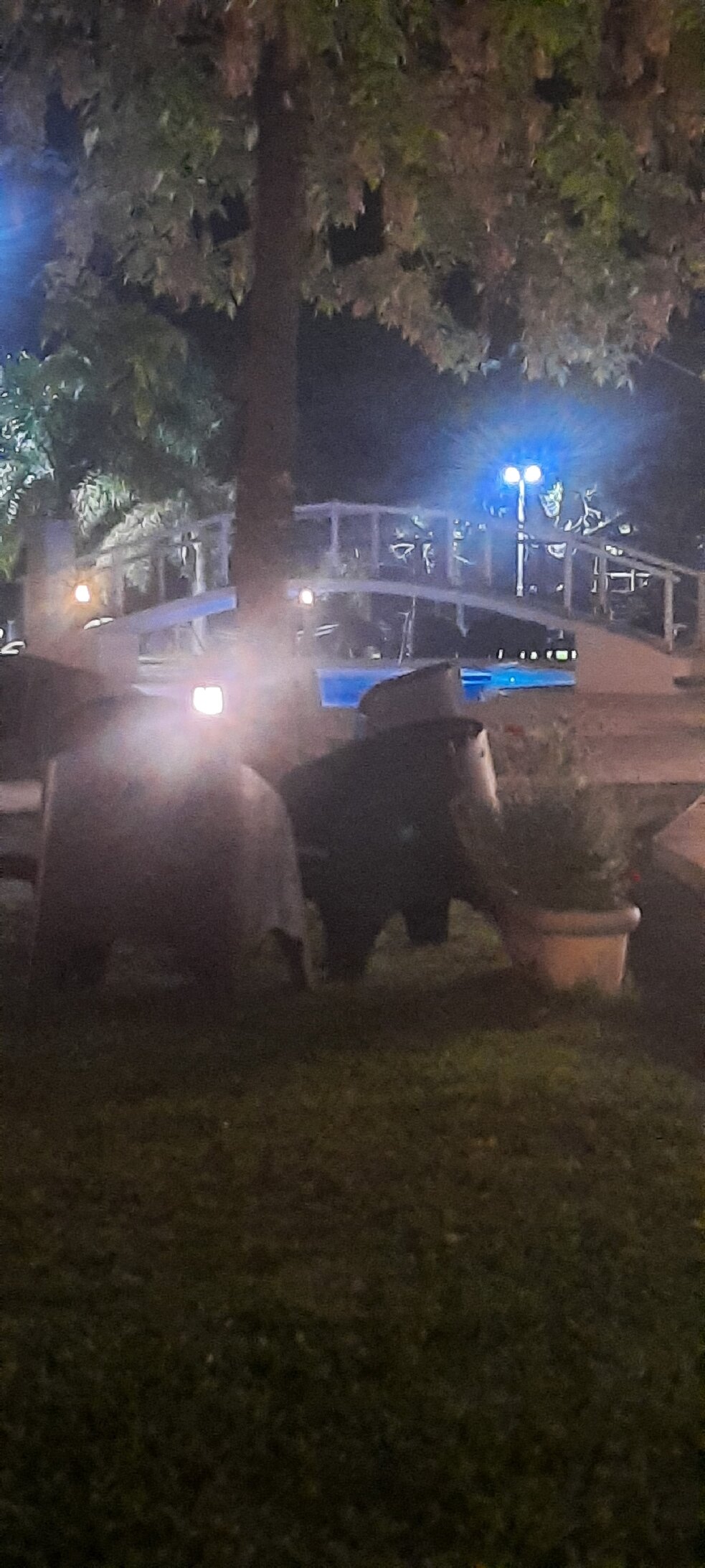 Costa Del Sol Hotel-官方