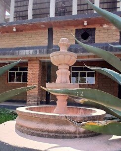 Santuario de las Luciérnagas - Bosque Mágico-Tlaxcala必去景点