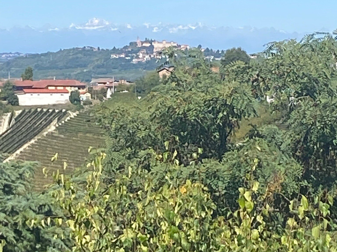 Hotel Villa Lauri主图