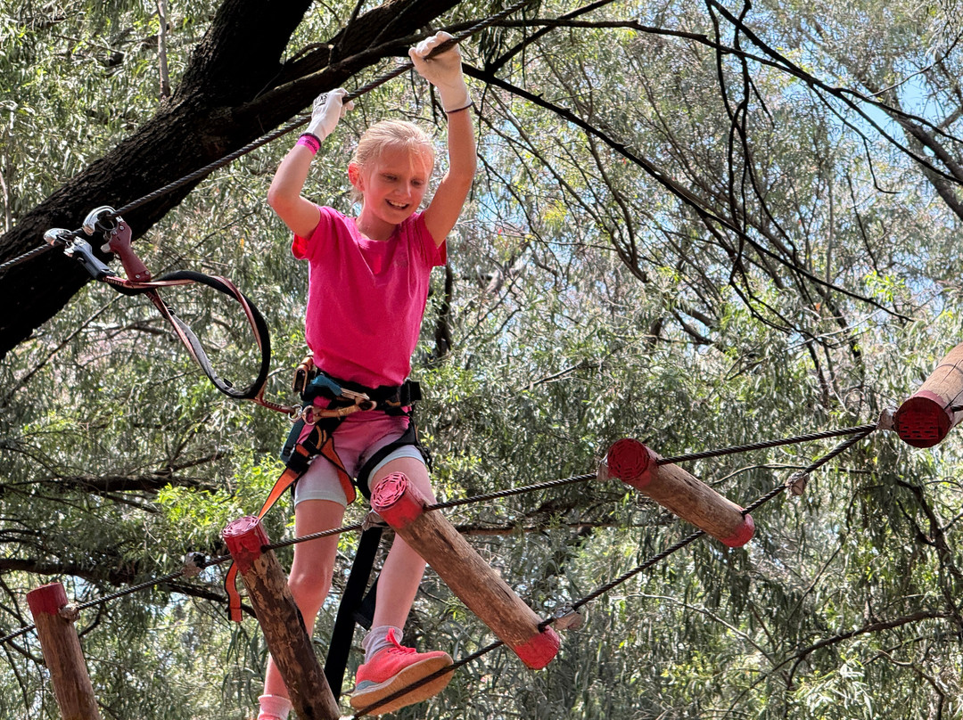 Acrobranch Garsfontein-Tierpoort必去景点
