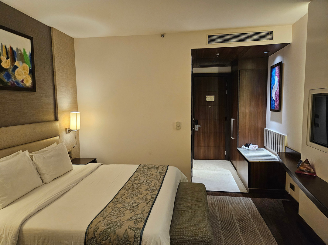 Seyfert Sarovar Premiere主图