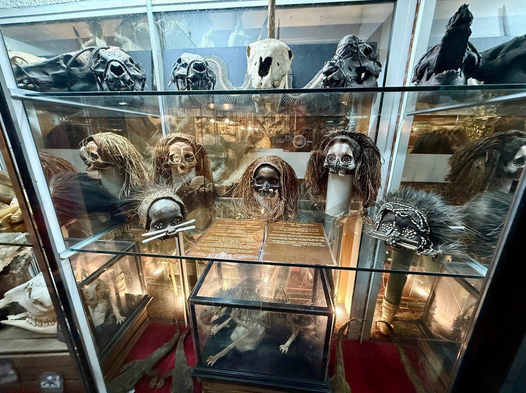 The Museum Of Curiosities-诺丁汉必去景点