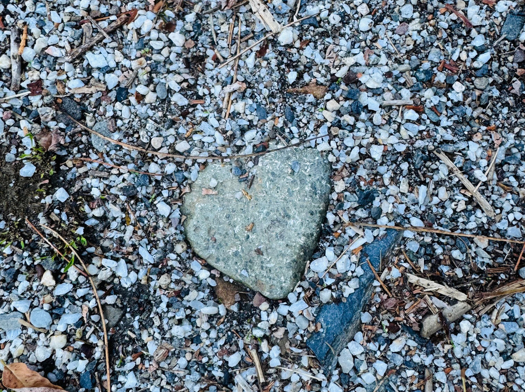 Riverside Mountain Lodge主图