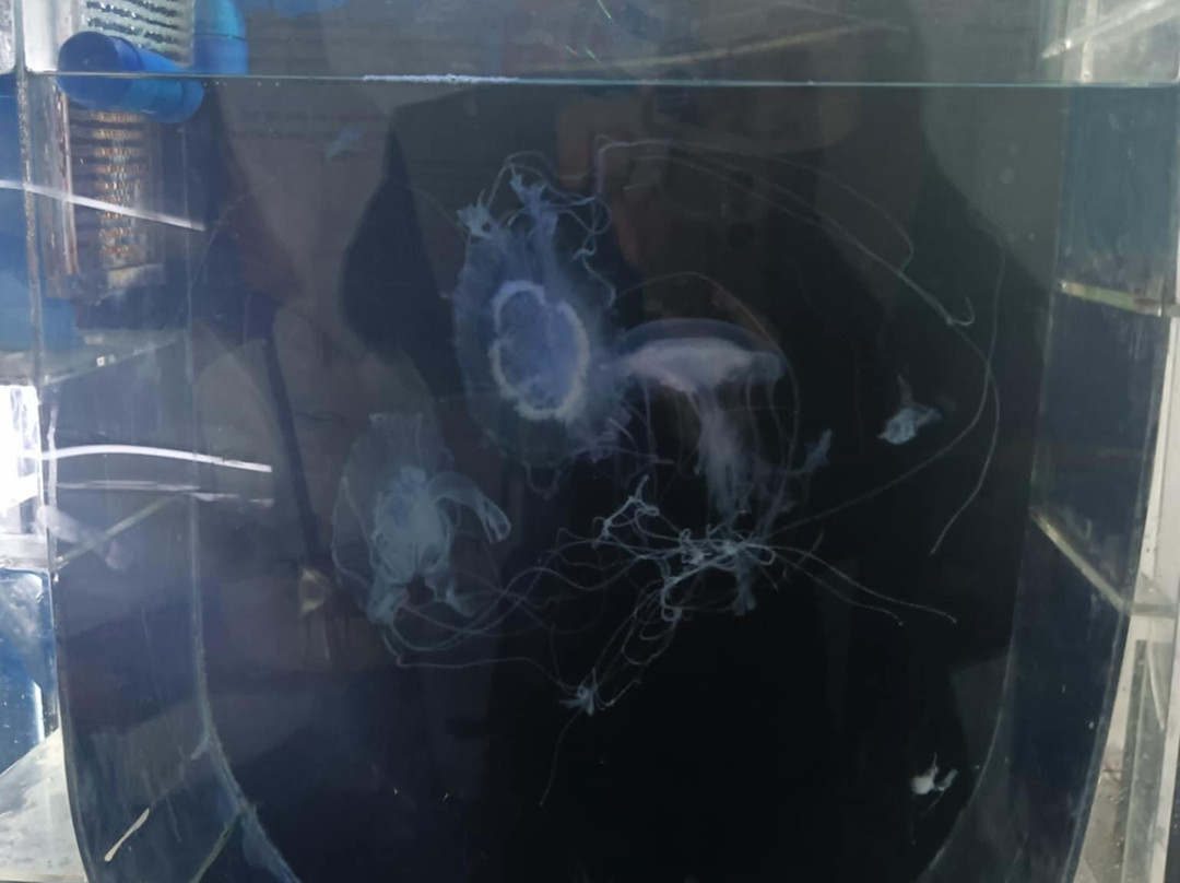 Cebu Ocean Park - Cebu-宿雾市必去景点