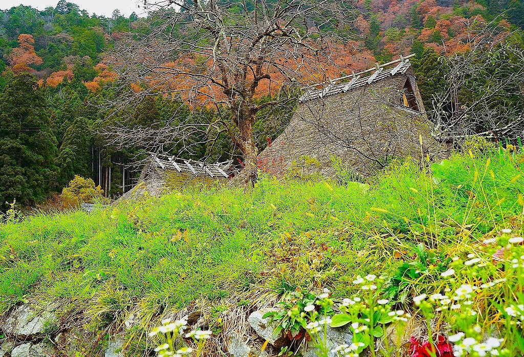 Kayabuki-no-sato Kitamura-南丹市必去景点