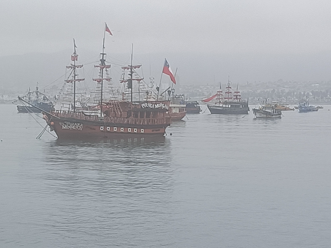 Puerto de Coquimbo-Coquimbo必去景点