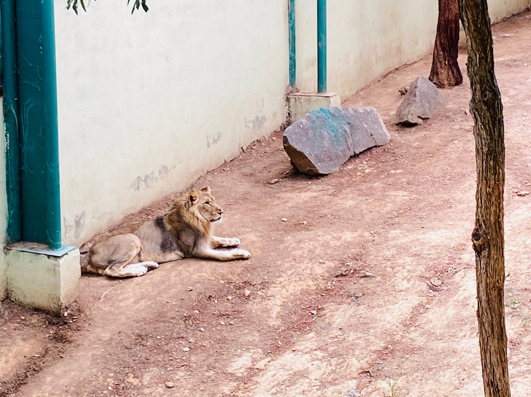 Gaziantep Zoo-加济安泰普必去景点