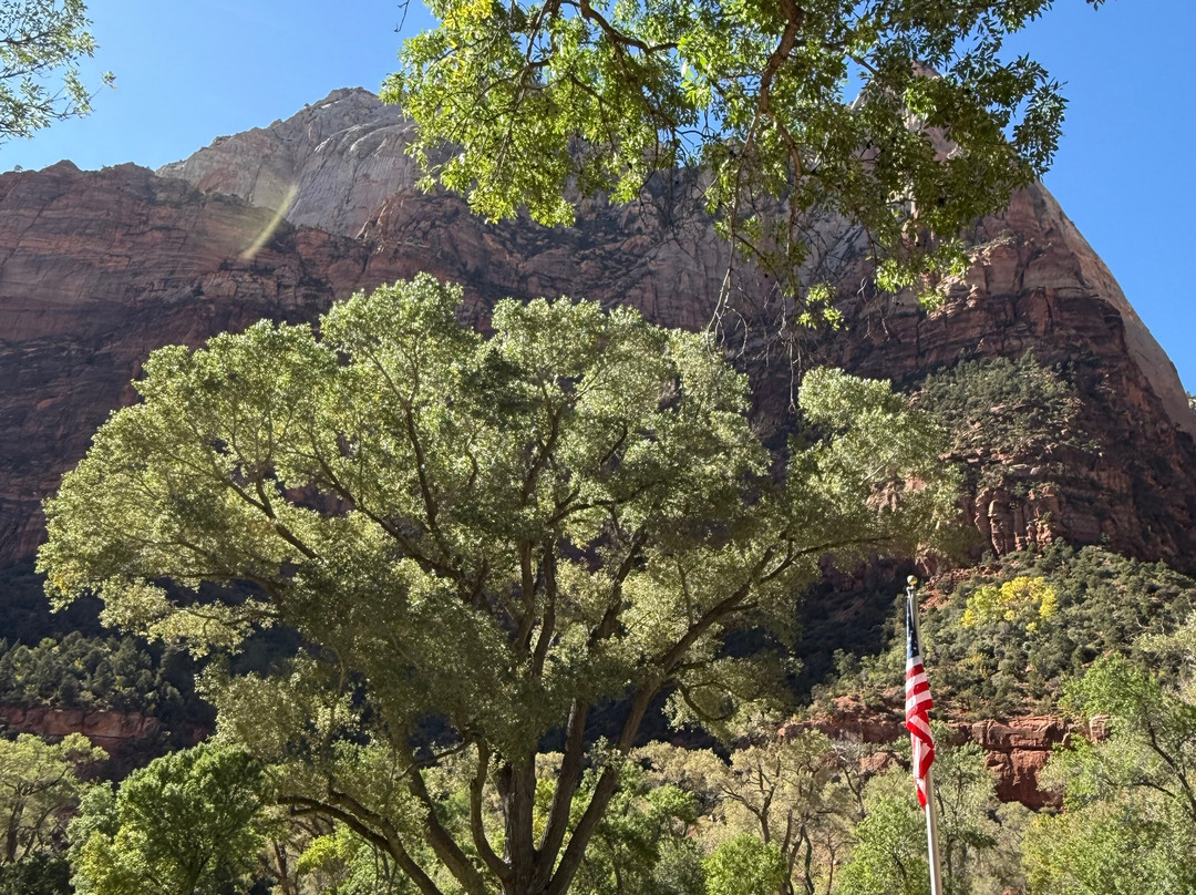 Zion Park Motel主图