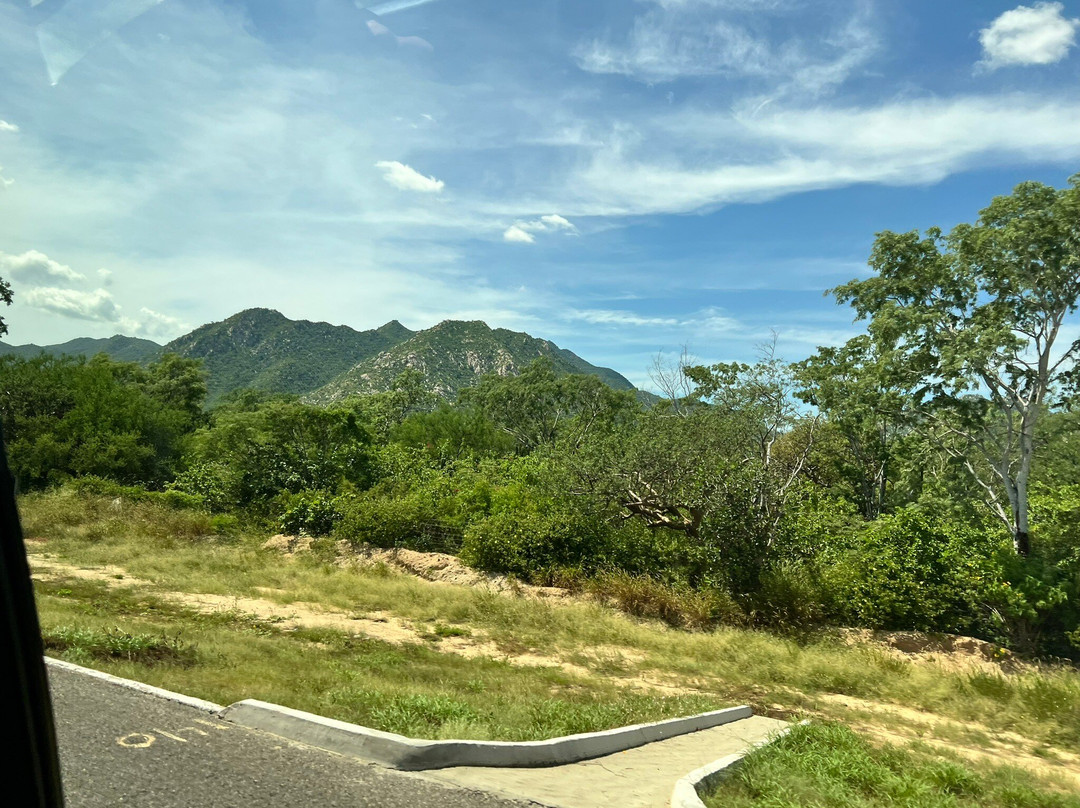 Cabo Lindo Transport-卡波圣卢卡斯必去景点