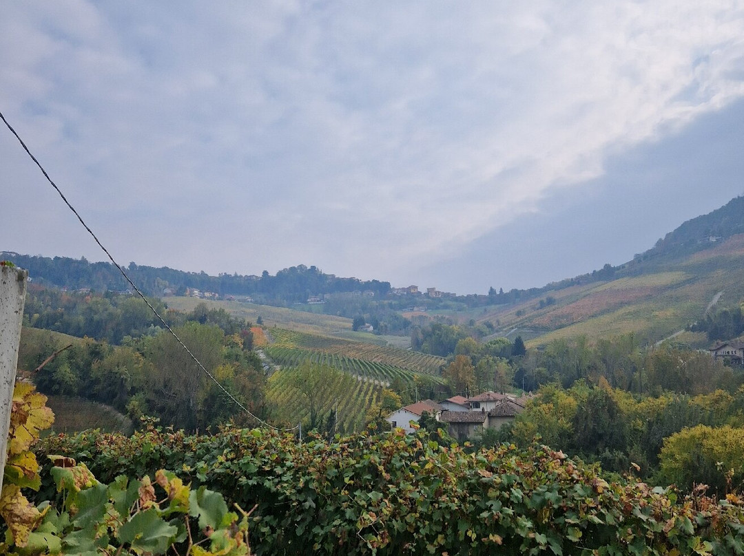 Costa di Bussia - Tenuta Arnulfo-蒙福特-达尔巴必去景点
