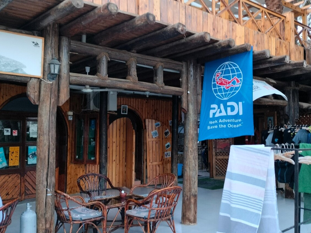 Penguin Divers Club-达哈卜必去景点