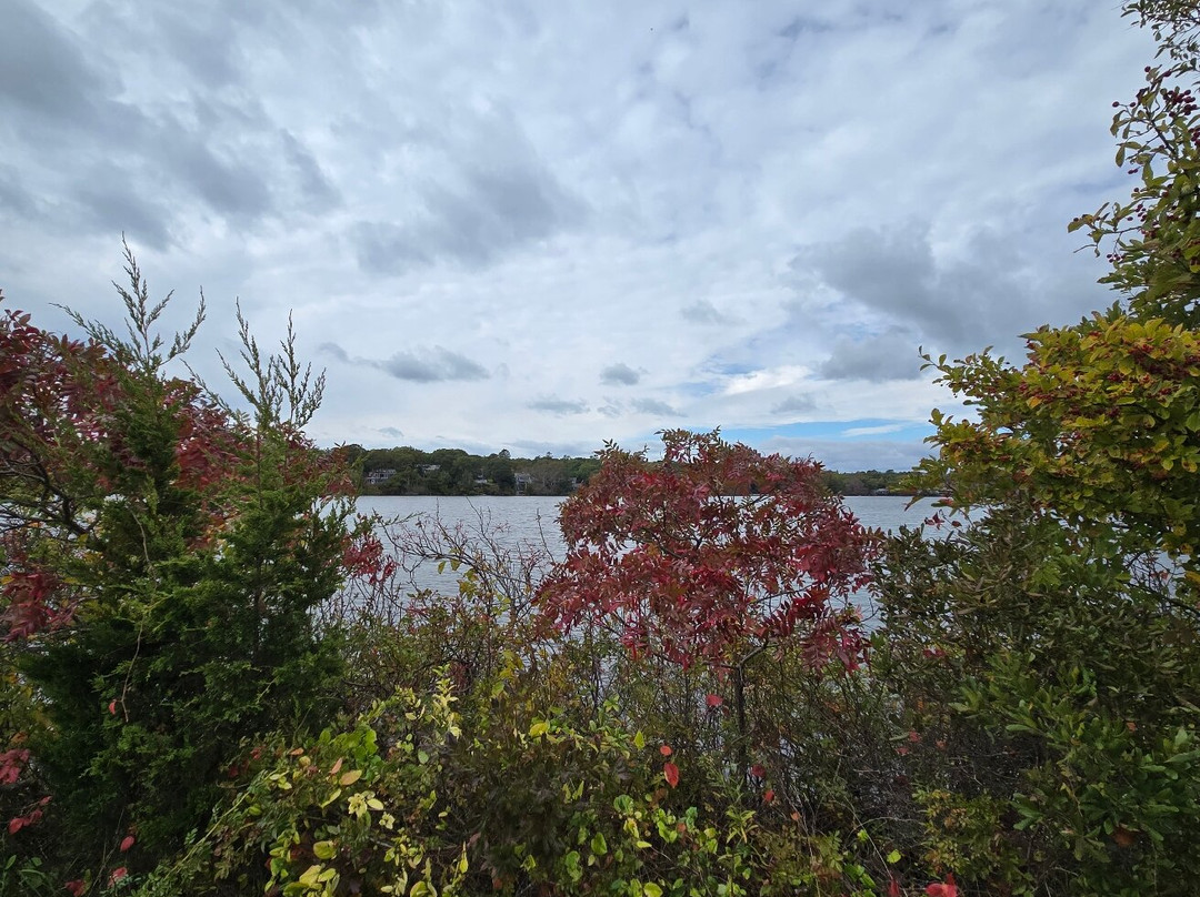 Shining Sea Bikeway-法尔茅斯必去景点