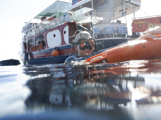 The Waterhoppers Diving School-罗德城必去景点