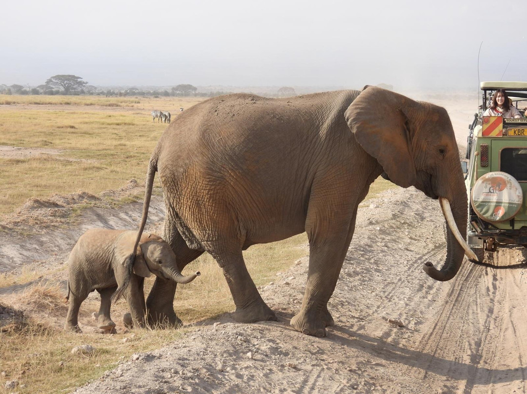 Arlom Safaris-Mtwapa必去景点