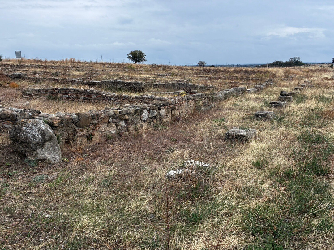 Area Archeologica di Siris - Heraclea-波利科罗必去景点