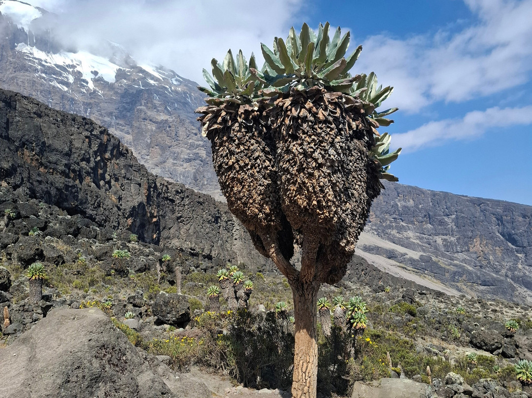 KarlytheGuide-莫西必去景点