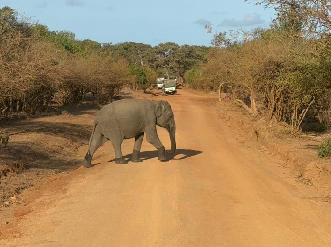 Amazing Travels & Tours Sri Lanka-科奇克德必去景点