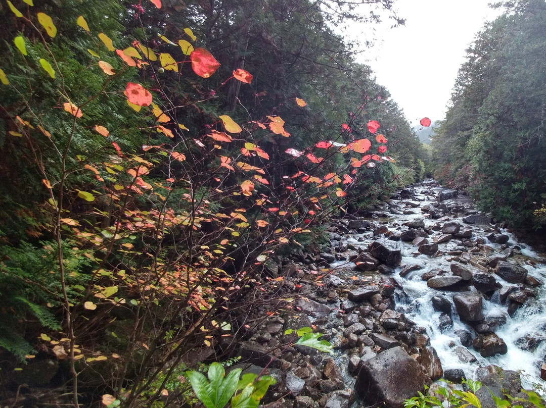 Akasawa Natural Recreational Forest-上松町必去景点