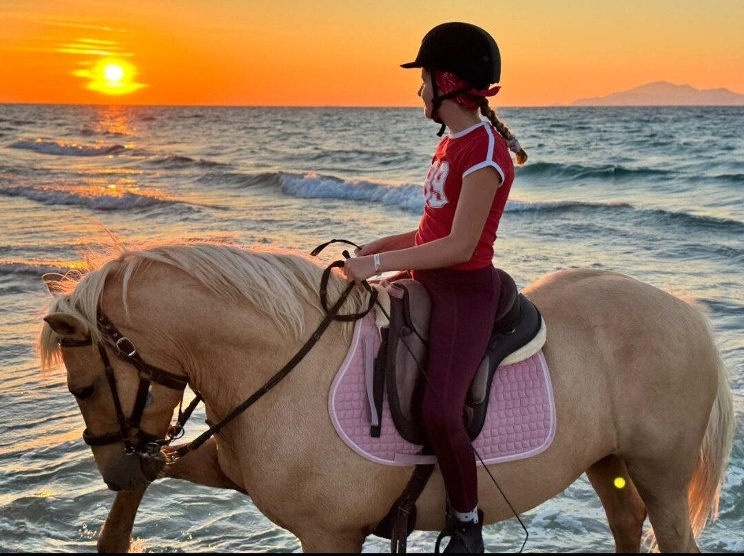 Erika's Horse Farm Kos-Marmari必去景点