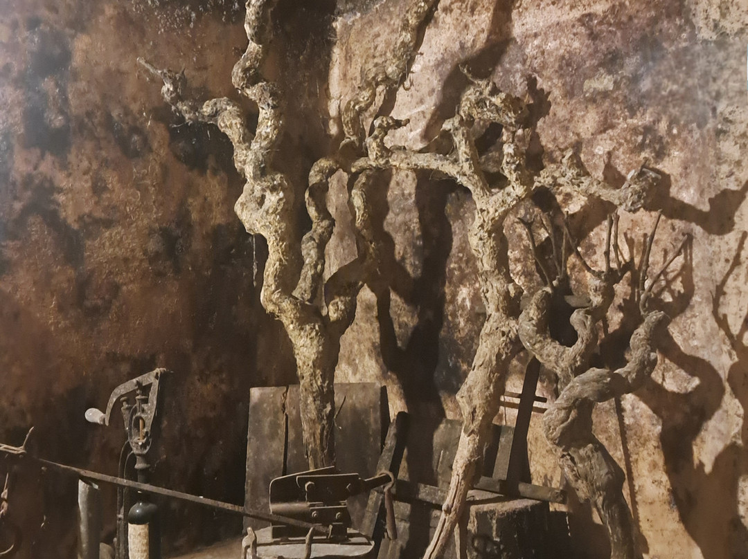 Bodegas Lecea-San Asensio必去景点