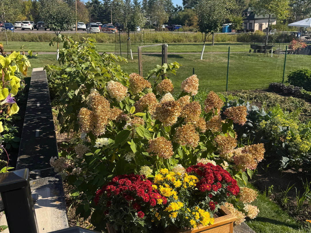 Glensheen - The Historic Congdon Estate-德卢斯必去景点