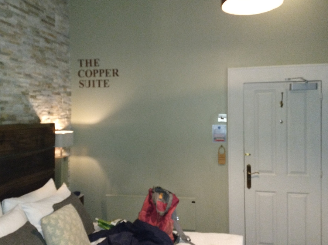 The Cow Hollow Hotel主图