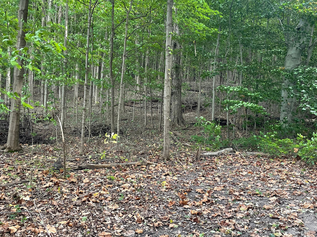 Castle In The Country Bed & Breakfast Inn主图