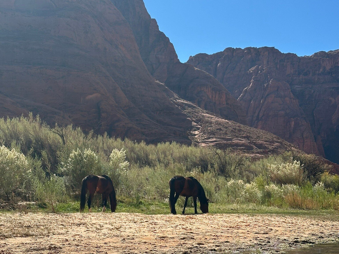Kayak Horseshoe Bend-大理石峡谷必去景点