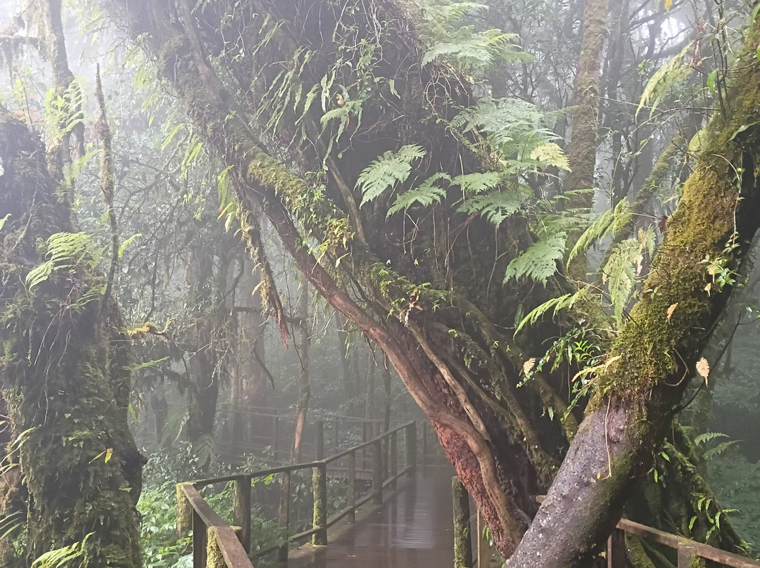 Nature Trails Ang Ka-宗通必去景点