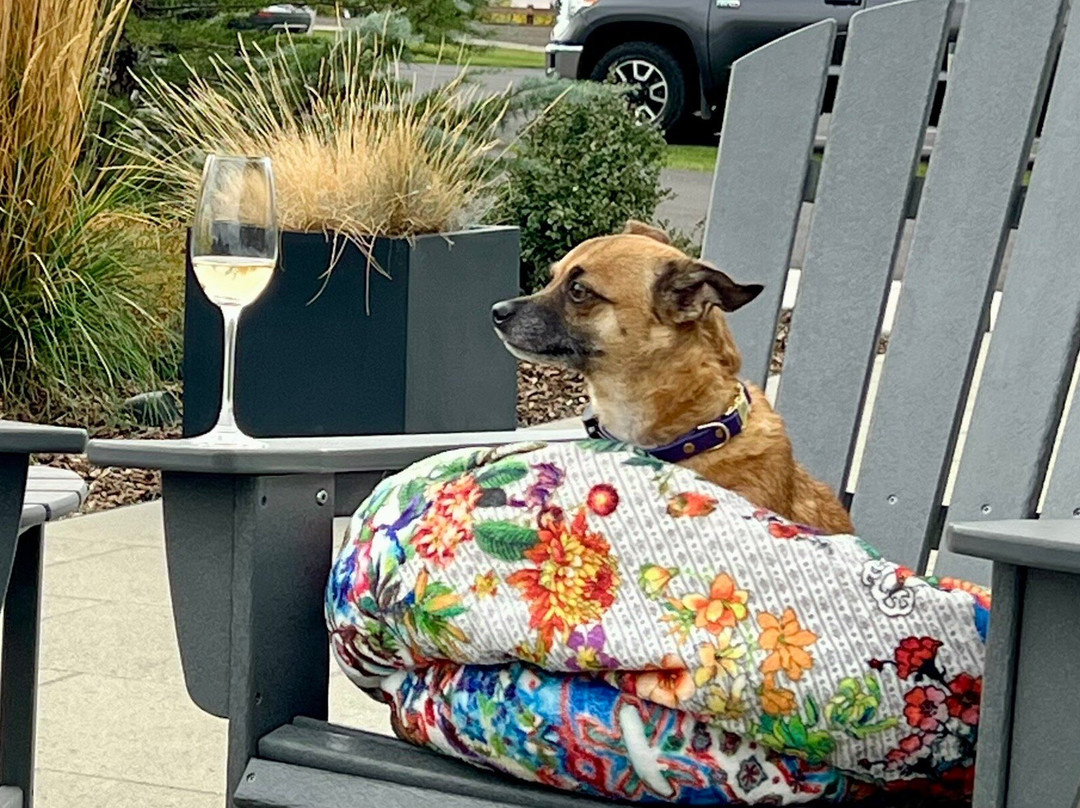 Caprio Cellars-瓦拉瓦拉必去景点