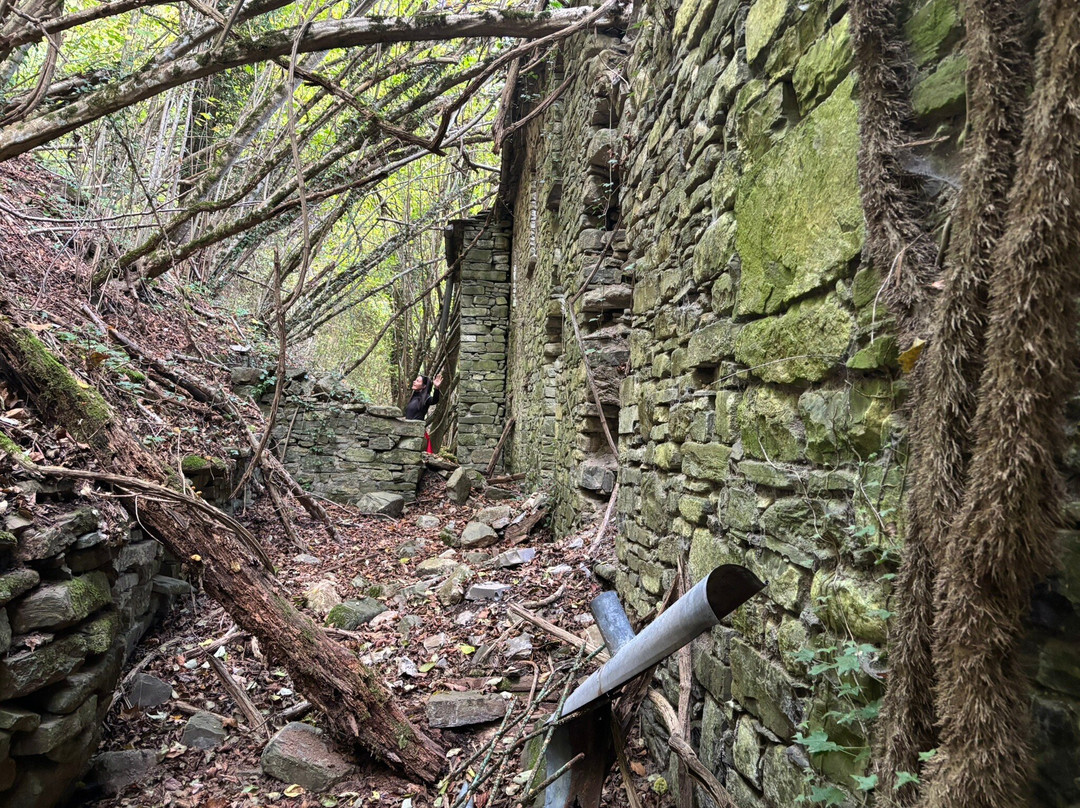 Ca Scapini-Bardi必去景点