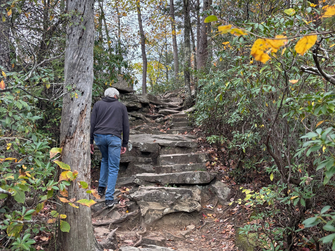 Fall Creek Falls State Park-Spencer必去景点
