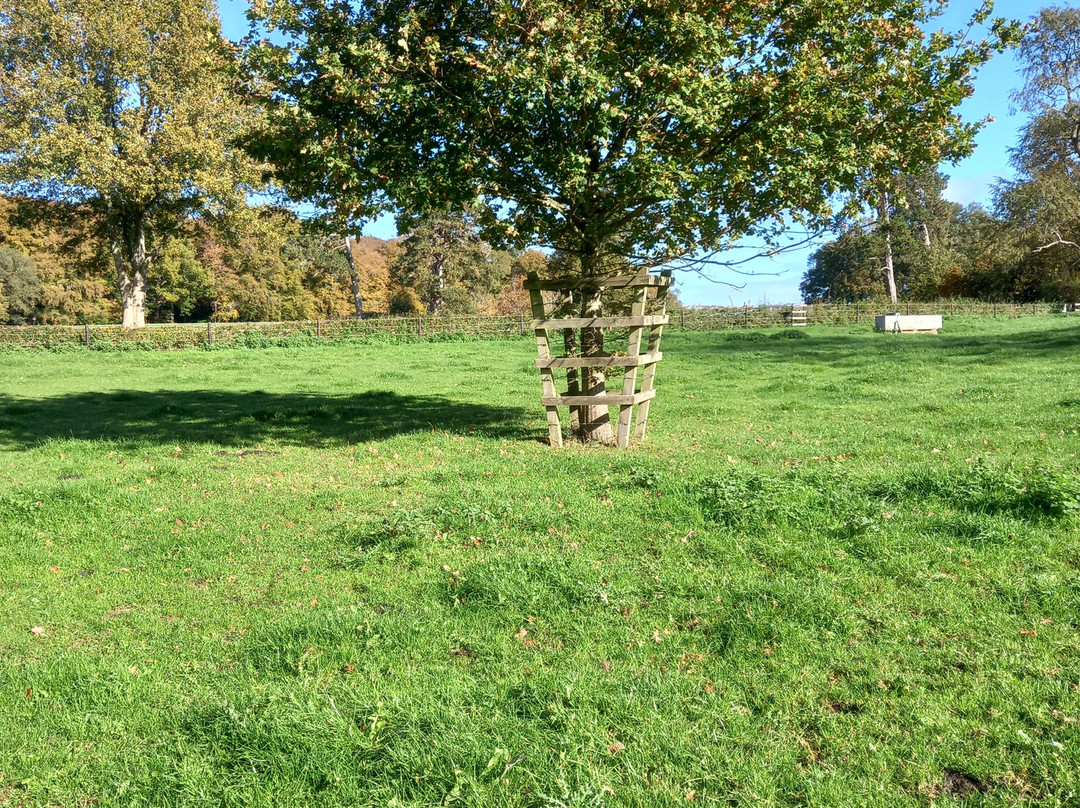 The Cherry Tree Inn-泰晤士河畔亨利必去景点