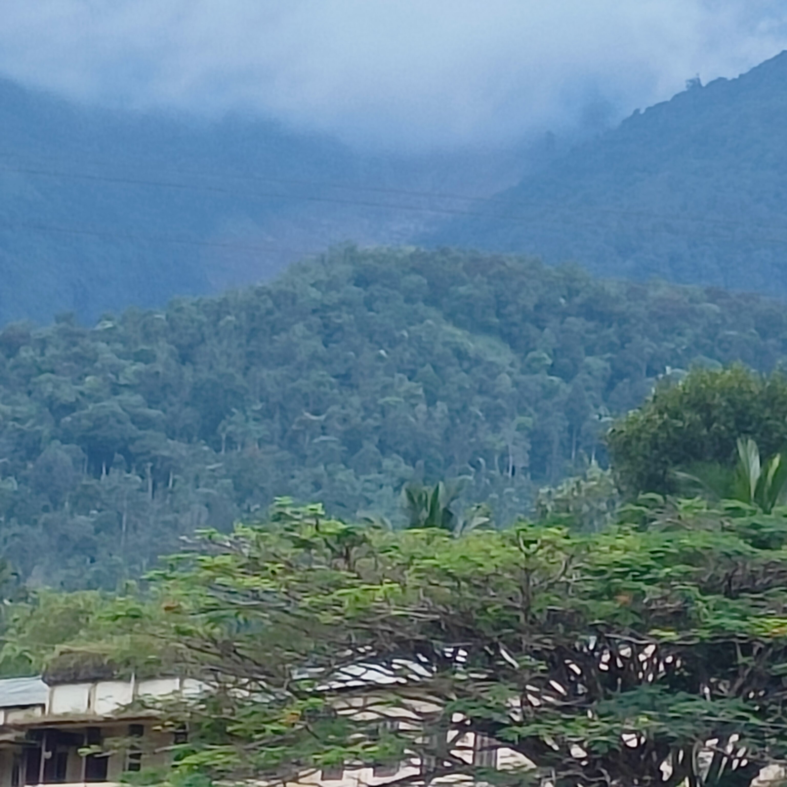 GReaT Trails Wayanad By GRT Hotels-官方