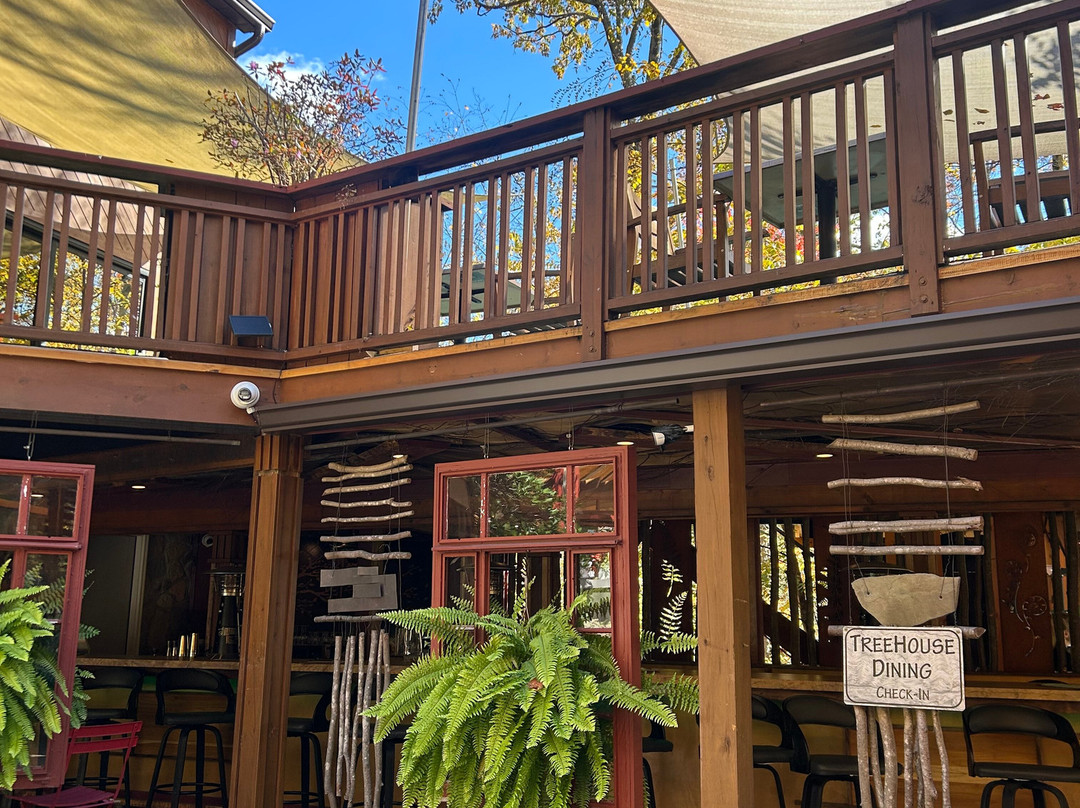 Polymath Park-Acme必去景点