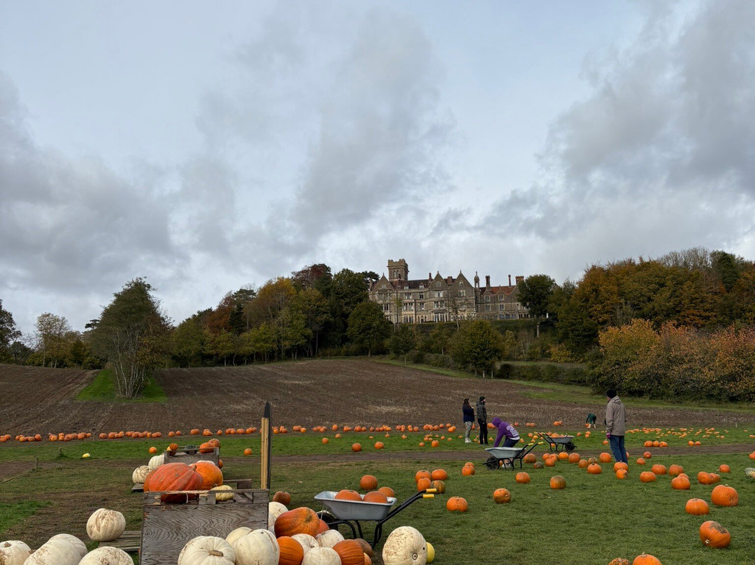 Discovery Land at Priory Farm-Nutfield必去景点