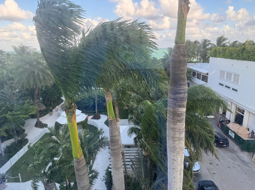 棕榈树Spa酒店主图