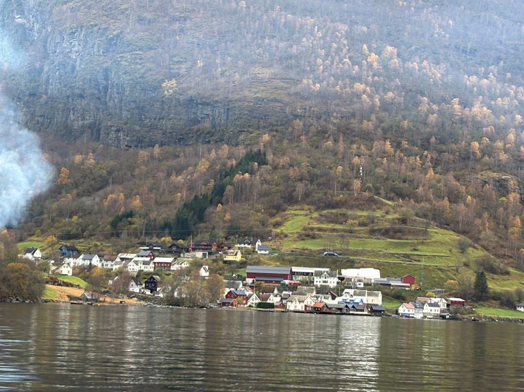 FjordSafari-弗洛姆必去景点