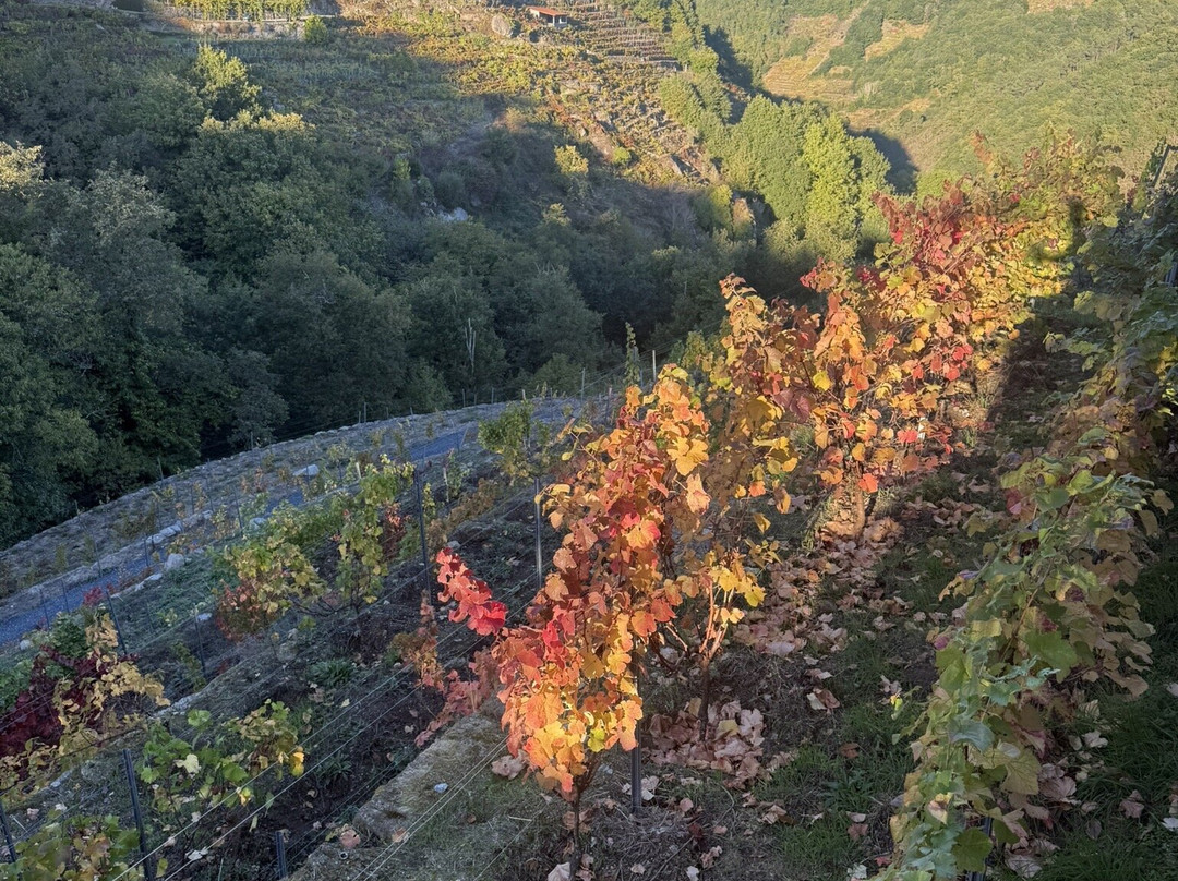 Via Romana Adegas e Vinedos-Chantada必去景点