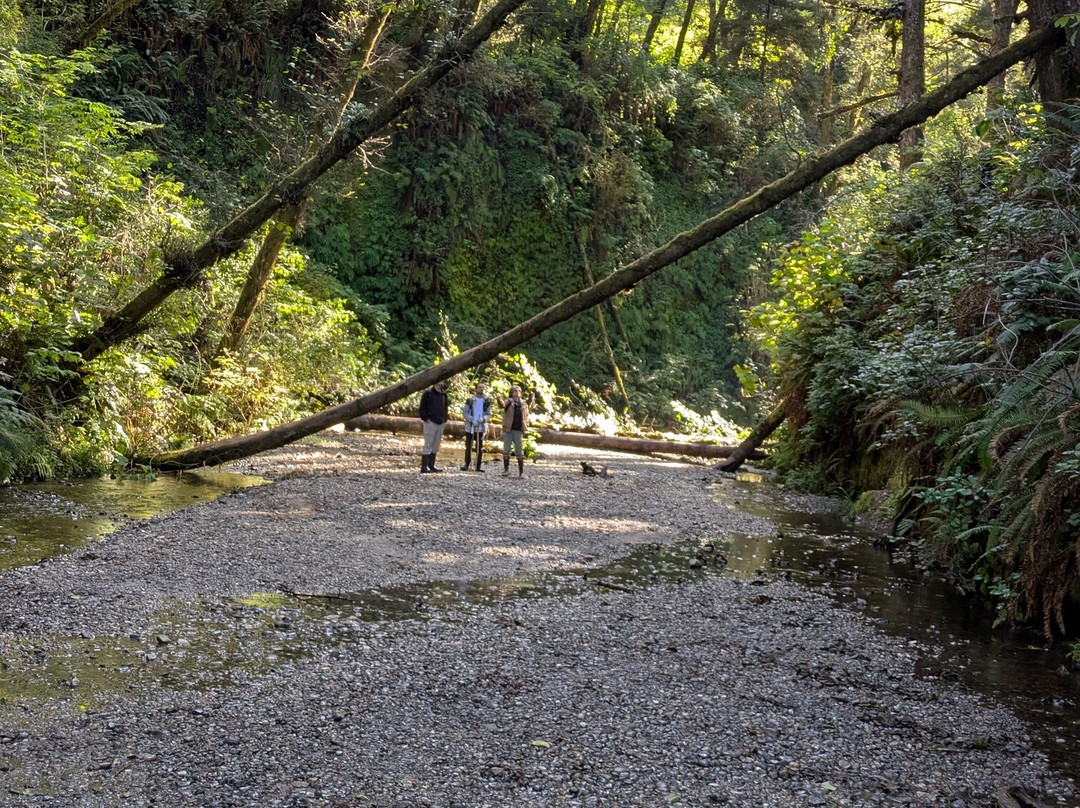 Fern Canyon-Orick必去景点