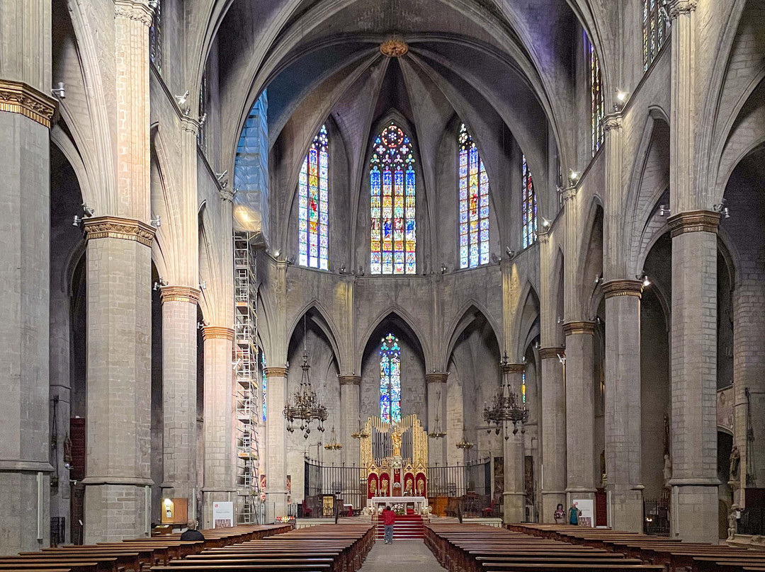 Basílica de Santa Maria de la Seu-曼雷萨必去景点
